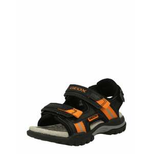 Otevřená obuv 'BOREALIS' Geox oranžová / černá