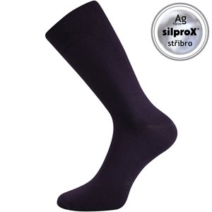 LONKA ponožky Decolor fialová 1 pár 39-42 111243